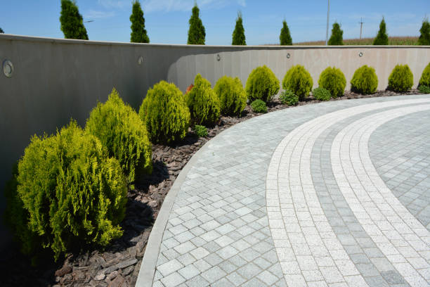 Best Driveway Paving Contractor  in Slater, MO